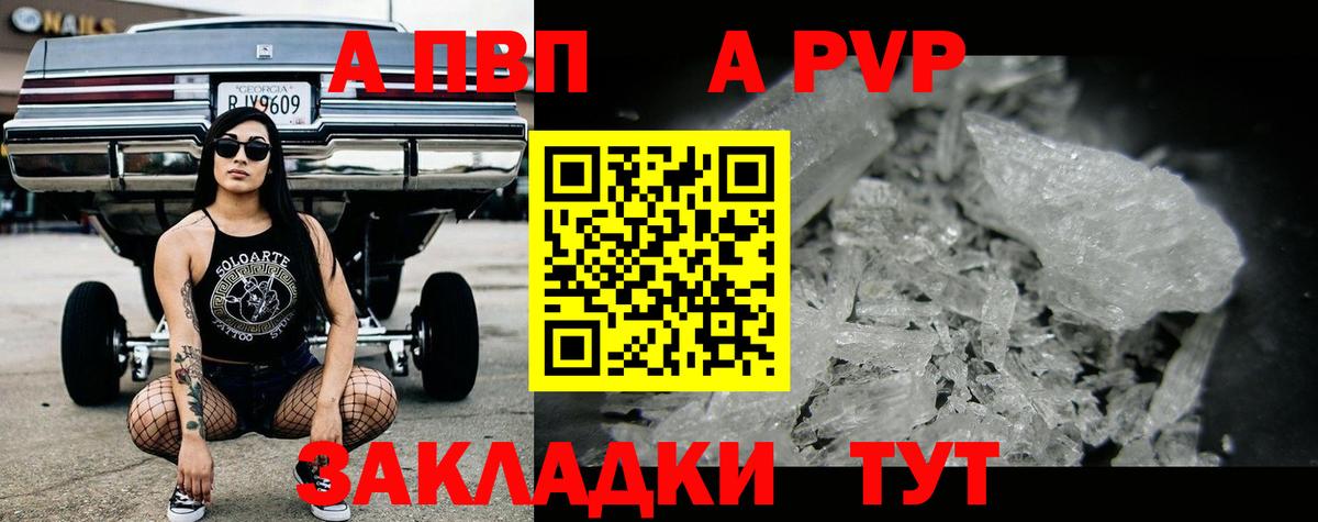 A-PVP СК Дальнегорск