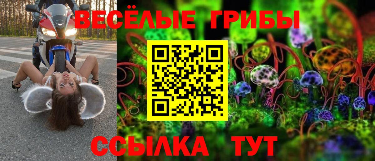 Галлюциногенные грибы Cubensis  Вход с VPN  Дальнегорск 